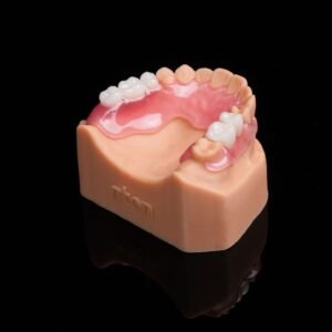 3D Printed Flexible Dentures